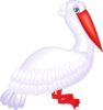 Feathered Pelican Art Clip Art